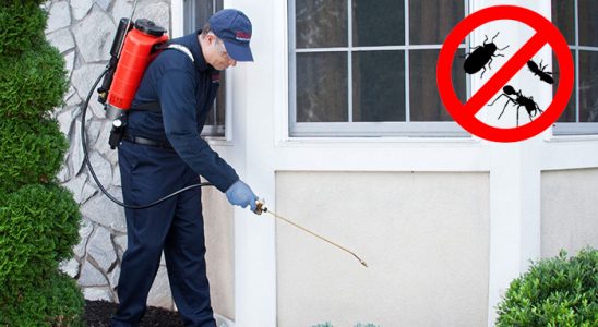 Talas Kemirgen İlaçlama böcek ilaçlama ve haşere kontrolü — ilaclama-tr.com